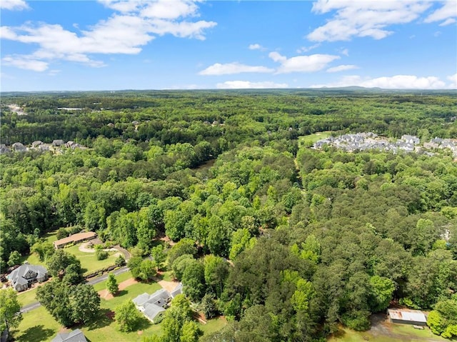 drone / aerial view of a forest