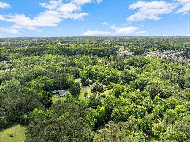 bird's eye view of a forest