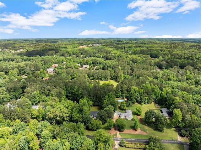 drone / aerial view of a forest