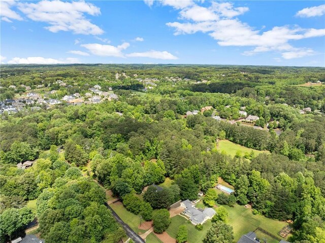 bird's eye view of a forest