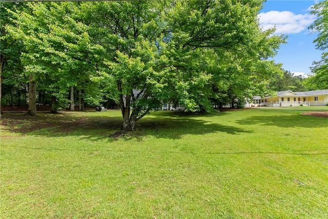 view of grassy yard