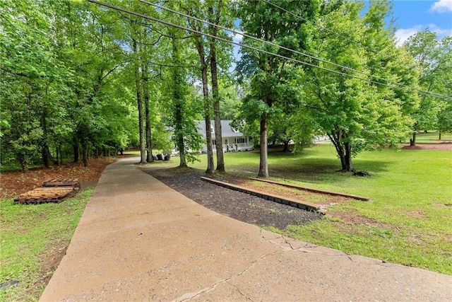 view of home's community with a yard