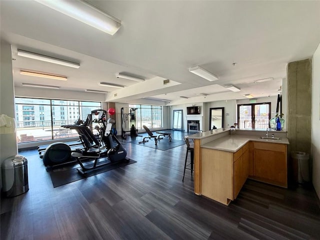 exercise room with sink, plenty of natural light, and dark hardwood / wood-style floors