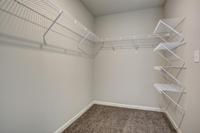 spacious closet with carpet floors