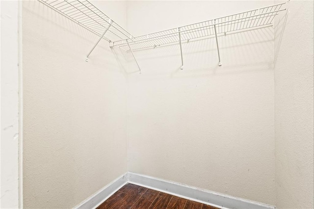 walk in closet featuring dark hardwood / wood-style floors