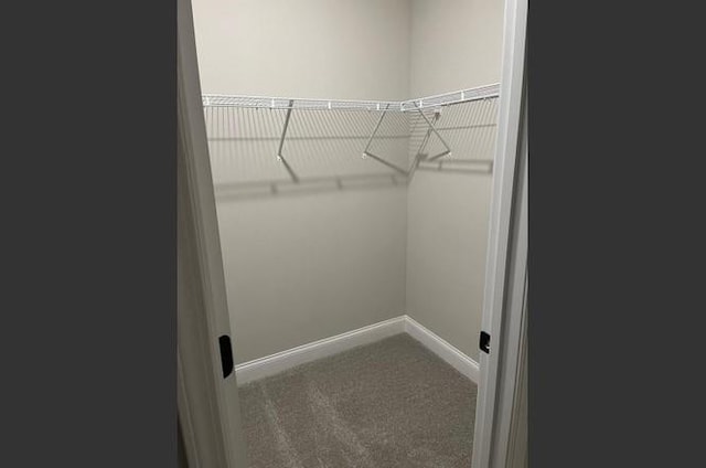 spacious closet with carpet