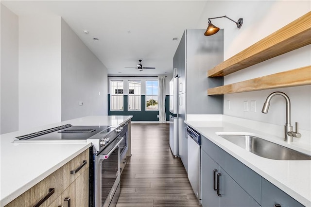 kitchen with dark hardwood / wood-style floors, sink, ceiling fan, and stainless steel appliances