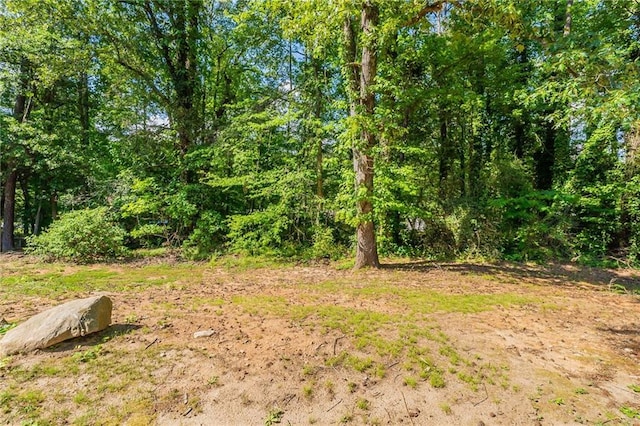 view of yard featuring a wooded view
