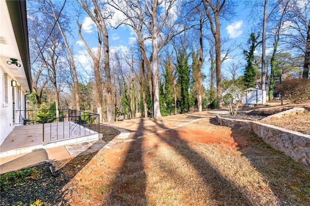 view of yard featuring a shed