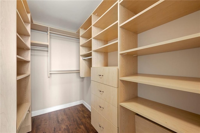 walk in closet with dark hardwood / wood-style flooring