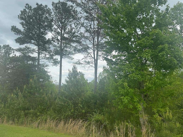 L231 Ridge Point Way, Blairsville, GA 30512