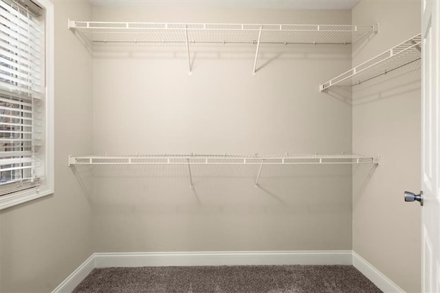 spacious closet with carpet floors