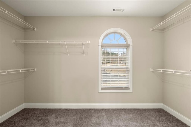 walk in closet with carpet flooring and visible vents