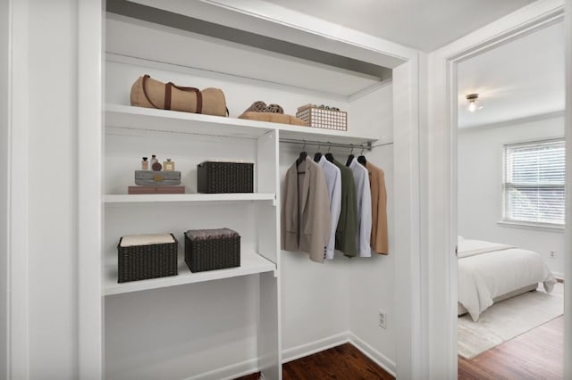 view of closet