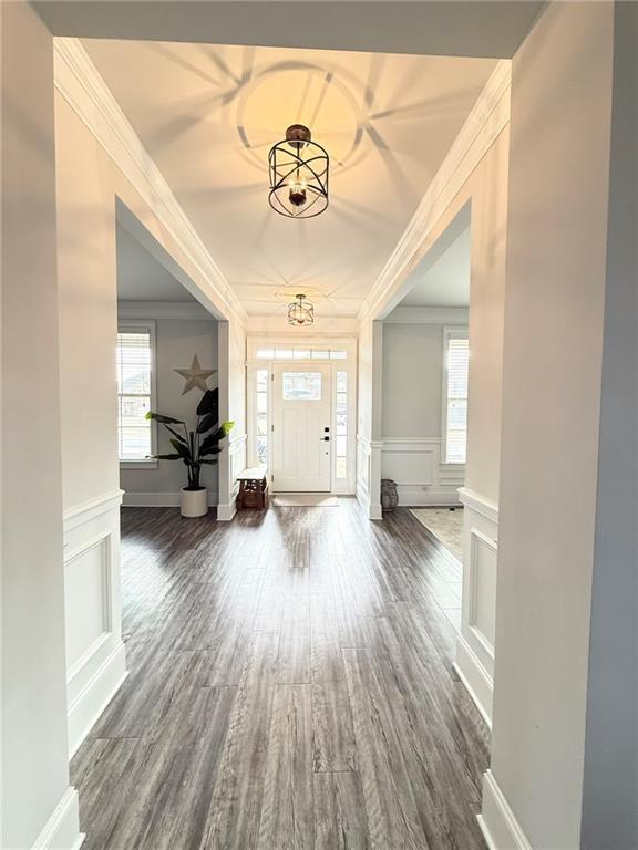 foyer with crown molding and dark hardwood / wood-style floors