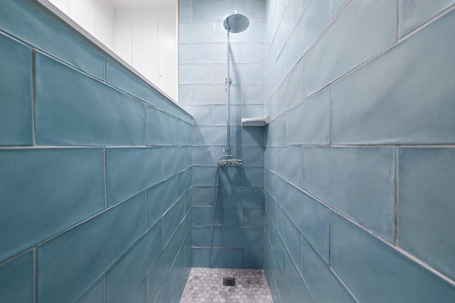 room details featuring tiled shower