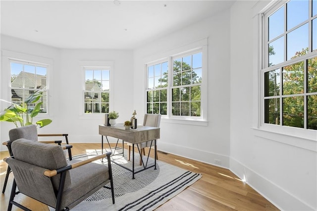 office space with light hardwood / wood-style floors