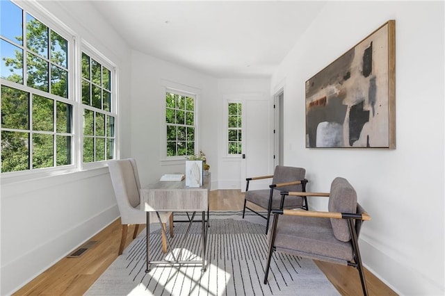 sitting room featuring light hardwood / wood-style floors