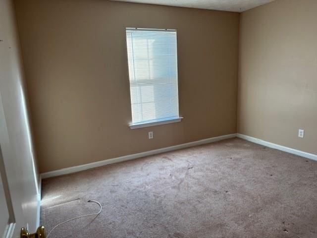 empty room with a healthy amount of sunlight and light carpet