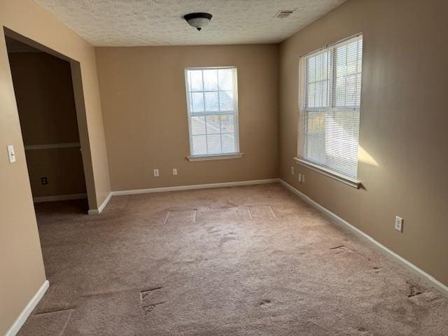 empty room featuring light colored carpet, a healthy amount of sunlight, and a textured ceiling