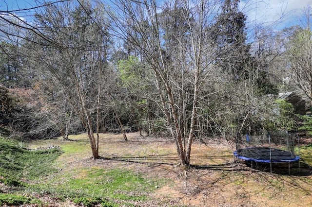 821 Camden Park Ct, Atlanta, GA 30342 - view of yard featuring a trampoline