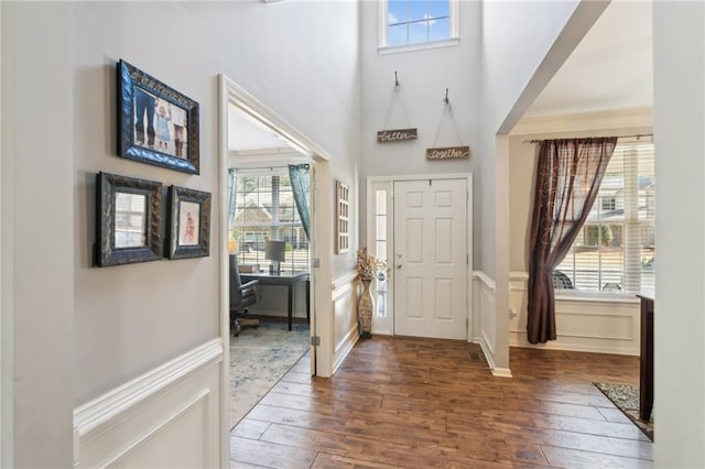 foyer with dark hardwood / wood-style floors and a towering ceiling