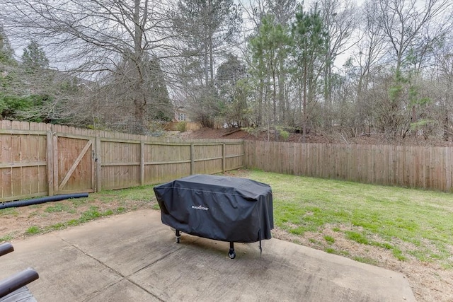 view of yard featuring a patio area, a fenced backyard, and a gate