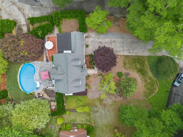 bird's eye view