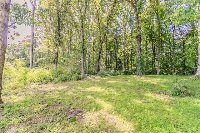 545 Fayetteville Rd, Fairburn, GA 30213 - view of green lawn featuring a forest view