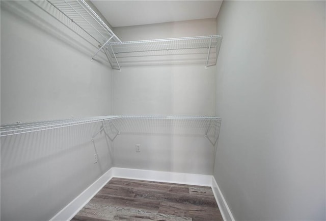 walk in closet with wood finished floors