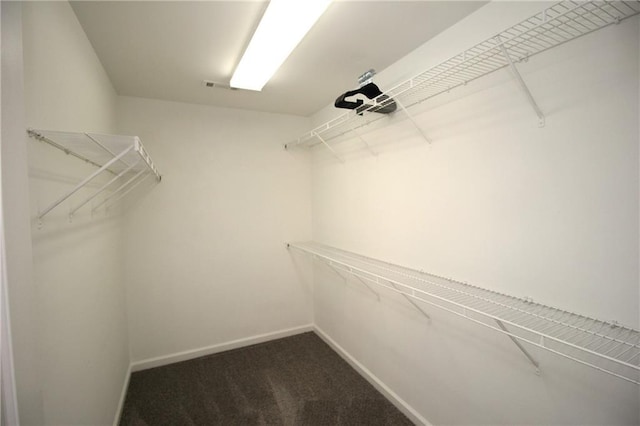 942 Idlewood Dr, Canton, GA 30115 - walk in closet featuring carpet flooring
