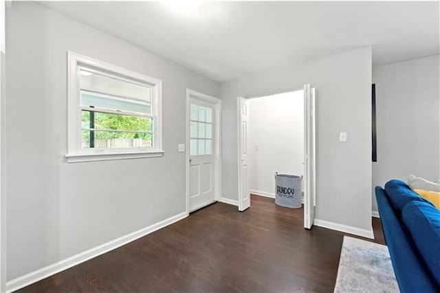 entryway featuring dark wood-type flooring