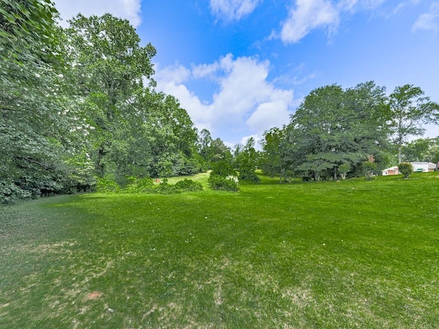 10307 E Cherokee Dr, Canton, GA 30115 - view of grassy yard