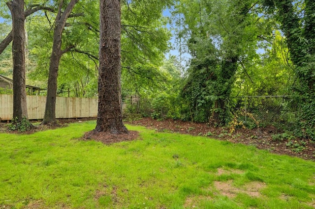 2760 Fraser St SE, Smyrna, GA 30080 - view of yard