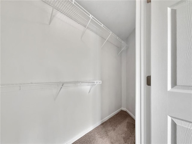 256 Prometheous Way, Rockmart, GA 30153 - spacious closet with carpet