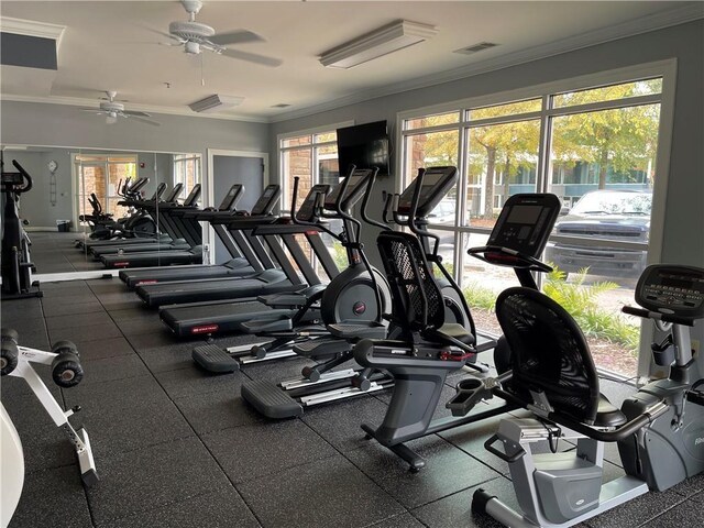 gym featuring ceiling fan and crown molding