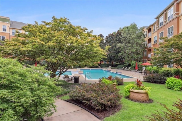 view of swimming pool featuring a lawn and a patio area