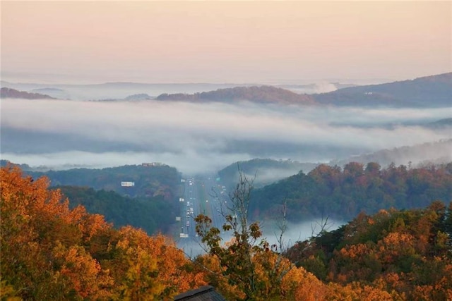 49 Waterside Dr SE, Cartersville, GA 30121 - view of mountain background featuring a forest