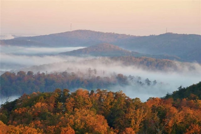 49 Waterside Dr SE, Cartersville, GA 30121 - view of mountain backdrop featuring a heavily wooded area