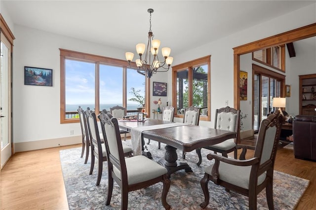 49 Waterside Dr SE, Cartersville, GA 30121 - dining area with a chandelier and light wood-style floors
