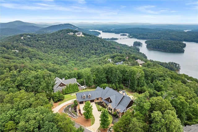 49 Waterside Dr SE, Cartersville, GA 30121 - aerial view of a forest and a water and mountain view