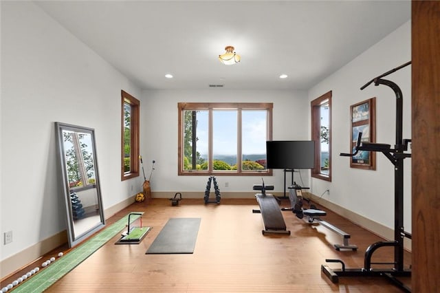 49 Waterside Dr SE, Cartersville, GA 30121 - exercise room featuring recessed lighting and wood finished floors