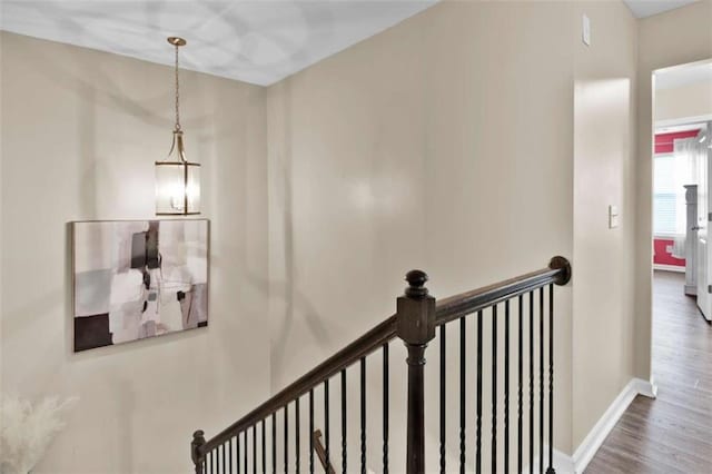 stairway with wood-type flooring