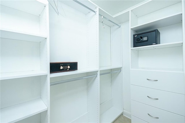 view of spacious closet