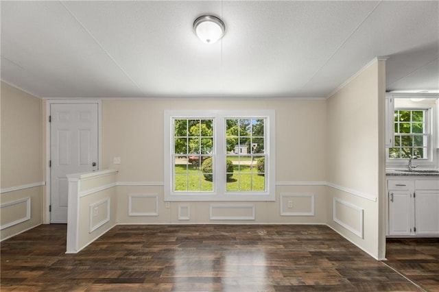 unfurnished dining area featuring dark hardwood / wood-style flooring, a wealth of natural light, and sink