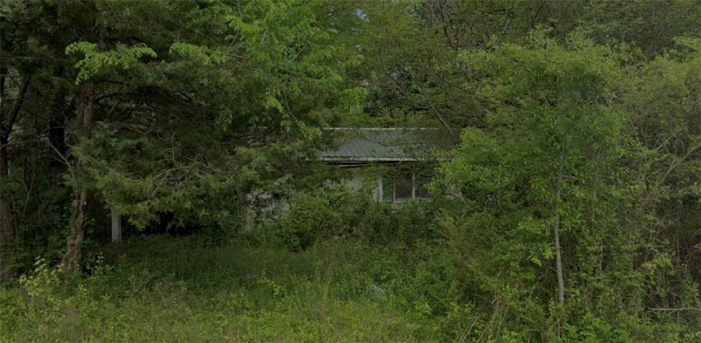1029 Fairview Rd, Rockmart, GA 30153 - view of nature