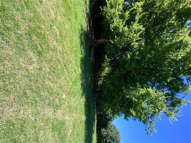 995 Gadsden Rd, Cave Spring, GA 30124 - view of yard