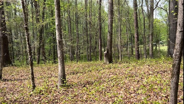 view of nature with a wooded view