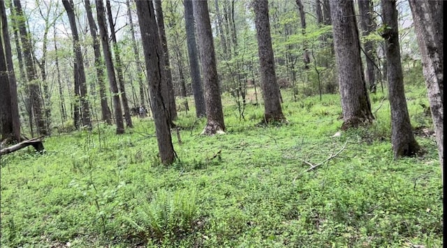 view of nature featuring a wooded view