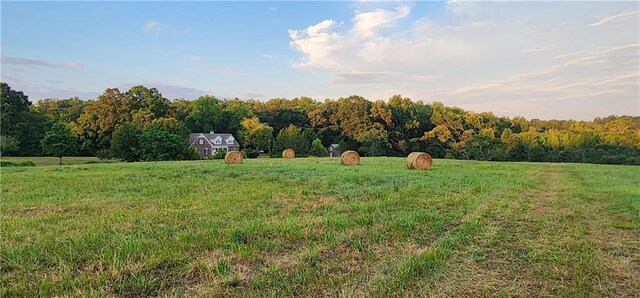 view of back of property